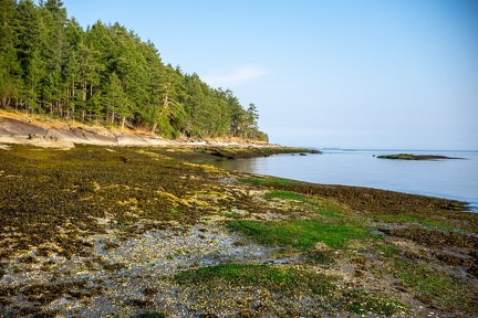 Island adventure 2025