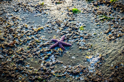 Island adventure 2025