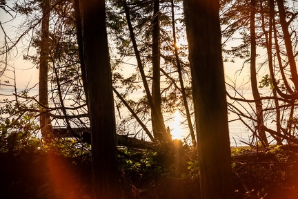 Island adventure 2025