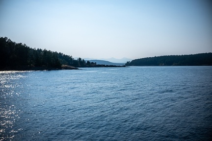 Island adventure 2025