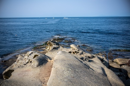 Island adventure 2025