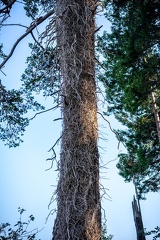 Island adventure 2025