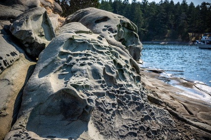 Island adventure 2025