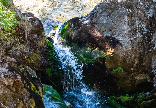 20230814-DSCF9480